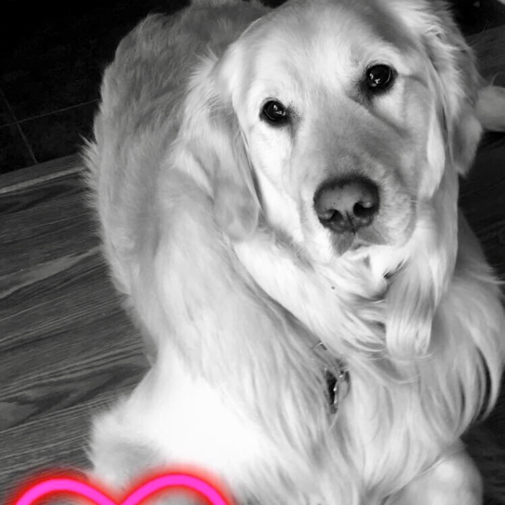 Meet your Posher, Elisabeth